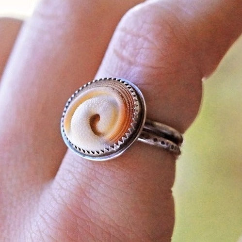 Operculum Shell Ring