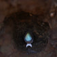 Blue Moon Tide Ring (Finish to your size)